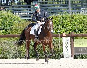 Cellini Dear Vinc GioCav2013 S6 7430 : Campionati Italiani Giovani Cavalli, Cattolica, Cellini Luigi, Dear Vinc, ph Stefano Secchi ©